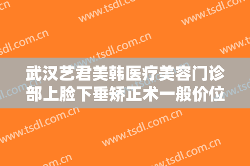 武汉艺君美韩医疗美容门诊部上脸下垂矫正术一般价位是多少费用?怎么样?