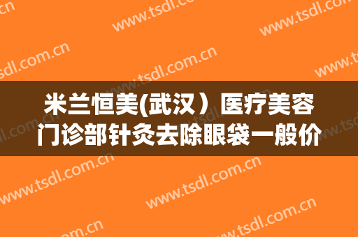 米兰恒美(武汉）医疗美容门诊部针灸去除眼袋一般价位是多少?好不好?