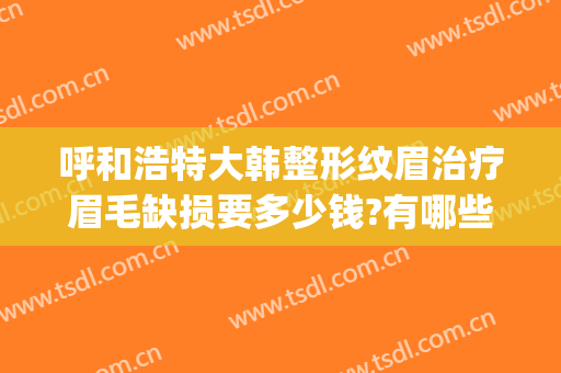 呼和浩特大韩整形纹眉治疗眉毛缺损要多少钱?有哪些优势?(整形医院做眉毛多少钱)