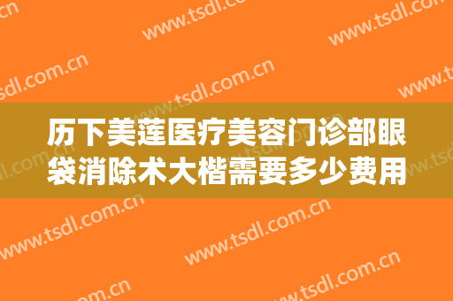 历下美莲医疗美容门诊部眼袋消除术大楷需要多少费用?靠谱吗?(美容院去除眼袋多少钱)