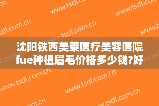沈阳铁西美莱医疗美容医院fue种植眉毛价格多少钱?好不好?