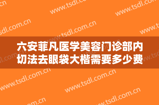 六安菲凡医学美容门诊部内切法去眼袋大楷需要多少费用?贵不贵?