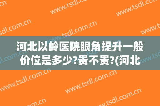 河北以岭医院眼角提升一般价位是多少?贵不贵?(河北以岭医院收费标准)