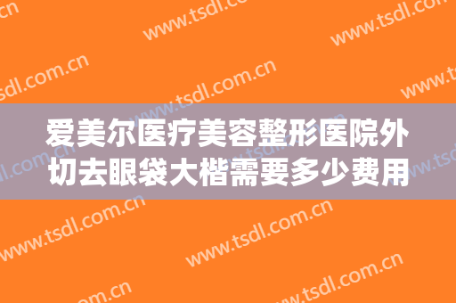 爱美尔医疗美容整形医院外切去眼袋大楷需要多少费用?贵不贵?(北京医院美容科去眼袋手术费)