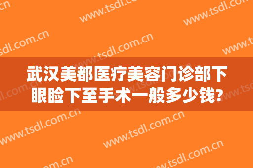 武汉美都医疗美容门诊部下眼睑下至手术一般多少钱?好不好?(武汉美都医疗美容怎么样)
