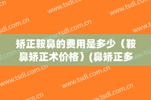 矫正鞍鼻的费用是多少（鞍鼻矫正术价格）(鼻矫正多少钱)