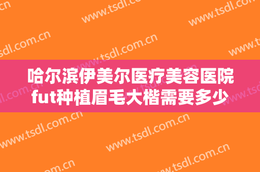 哈尔滨伊美尔医疗美容医院fut种植眉毛大楷需要多少费用?靠谱吗?