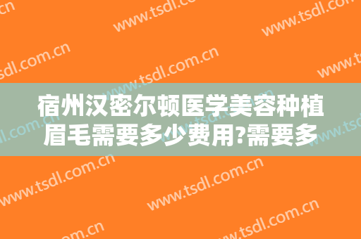 宿州汉密尔顿医学美容种植眉毛需要多少费用?需要多久恢复?
