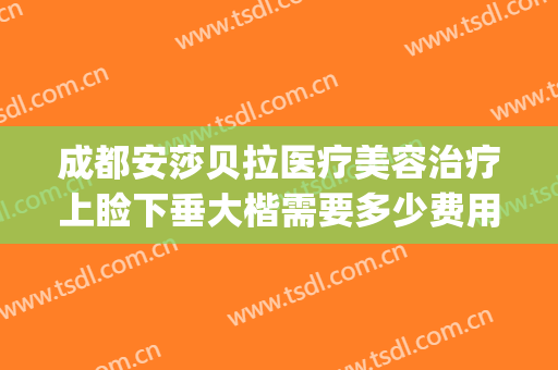 成都安莎贝拉医疗美容治疗上睑下垂大楷需要多少费用?贵不贵?(成都安莎贝拉医疗美容怎么样)