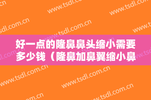 好一点的隆鼻鼻头缩小需要多少钱（隆鼻加鼻翼缩小鼻头缩小多少钱大概）