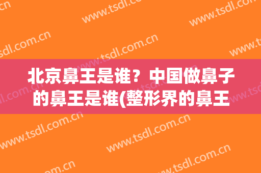 北京鼻王是谁？中国做鼻子的鼻王是谁(整形界的鼻王是谁)