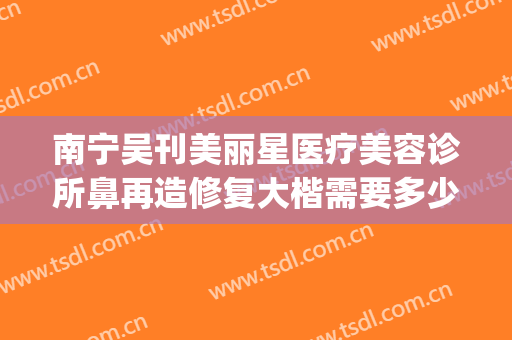南宁吴刊美丽星医疗美容诊所鼻再造修复大楷需要多少费用?靠谱吗?(南宁隆鼻修复整形医院)