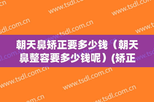 朝天鼻矫正要多少钱（朝天鼻整容要多少钱呢）(矫正朝天鼻手术要多少钱)