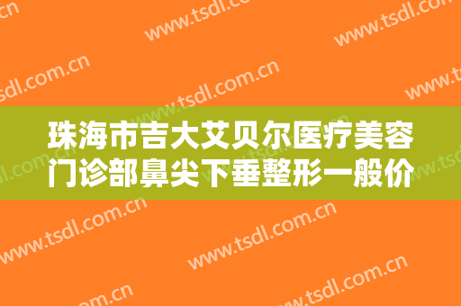 珠海市吉大艾贝尔医疗美容门诊部鼻尖下垂整形一般价位是多少钱?贵不贵?