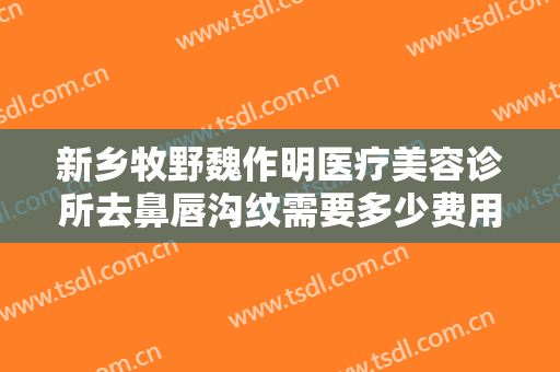 新乡牧野魏作明医疗美容诊所去鼻唇沟纹需要多少费用?可靠吗?