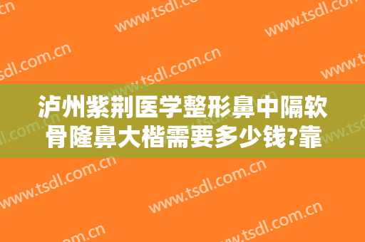 泸州紫荆医学整形鼻中隔软骨隆鼻大楷需要多少钱?靠谱吗?