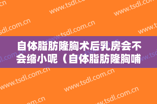 自体脂肪隆胸术后乳房会不会缩小呢（自体脂肪隆胸哺乳后会不会变小）