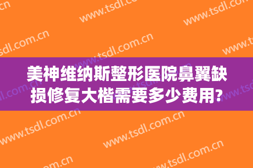 美神维纳斯整形医院鼻翼缺损修复大楷需要多少费用?靠谱吗?(维纳斯整容整鼻子)