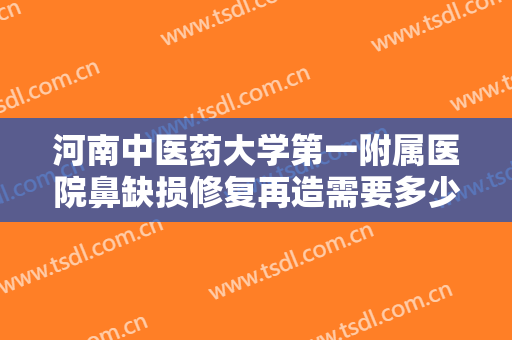 河南中医药大学第一附属医院鼻缺损修复再造需要多少费用?贵不贵?