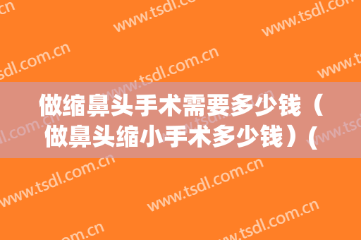 做缩鼻头手术需要多少钱（做鼻头缩小手术多少钱）(缩小鼻头手术大概多少钱)
