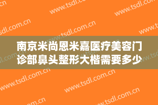 南京米尚恩米嘉医疗美容门诊部鼻头整形大楷需要多少钱?怎么样?(南京米恩尚整容医院)