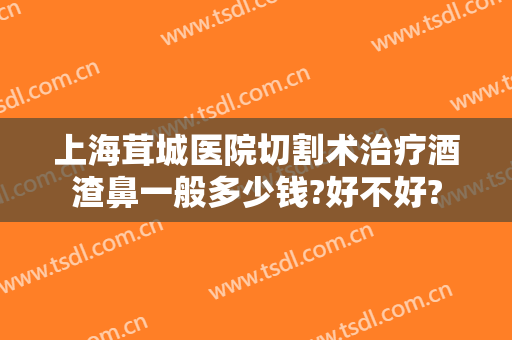 上海茸城医院切割术治疗酒渣鼻一般多少钱?好不好?