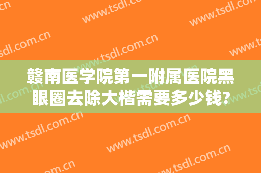 赣南医学院第一附属医院黑眼圈去除大楷需要多少钱?好不好?