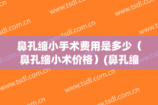 鼻孔缩小手术费用是多少（鼻孔缩小术价格）(鼻孔缩小手术费用大概是多少)