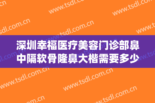 深圳幸福医疗美容门诊部鼻中隔软骨隆鼻大楷需要多少费用?可靠吗?(北京大学深圳医院隆鼻多少钱)