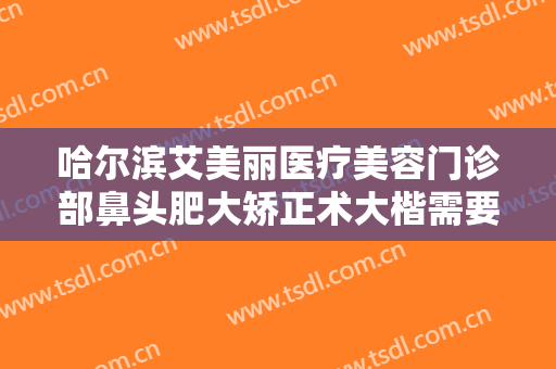 哈尔滨艾美丽医疗美容门诊部鼻头肥大矫正术大楷需要多少钱?好不好?