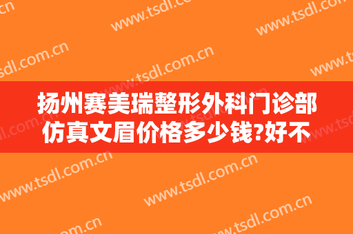 扬州赛美瑞整形外科门诊部仿真文眉价格多少钱?好不好?