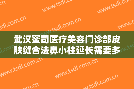 武汉蜜司医疗美容门诊部皮肤缝合法鼻小柱延长需要多少费用?贵不贵?