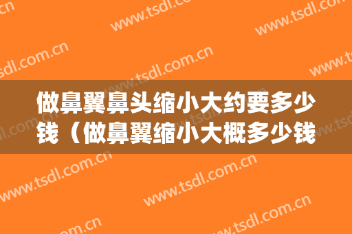 做鼻翼鼻头缩小大约要多少钱（做鼻翼缩小大概多少钱）(做鼻子缩小鼻翼要多少钱)