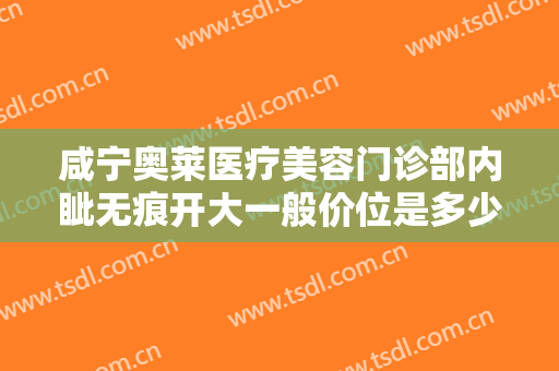 咸宁奥莱医疗美容门诊部内眦无痕开大一般价位是多少钱?需要多久恢复?