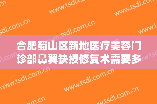 合肥蜀山区新地医疗美容门诊部鼻翼缺损修复术需要多少钱?可靠吗?(合肥蜀山区整容医院)