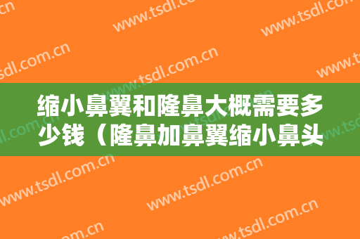 缩小鼻翼和隆鼻大概需要多少钱（隆鼻加鼻翼缩小鼻头缩小多少钱大概）