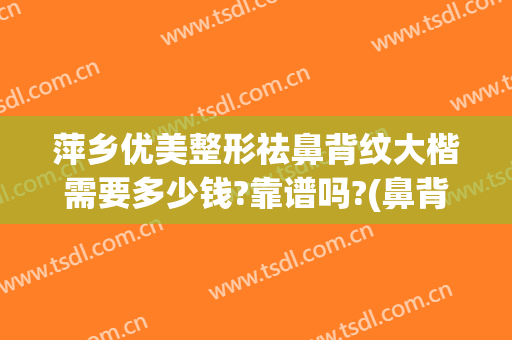 萍乡优美整形祛鼻背纹大楷需要多少钱?靠谱吗?(鼻背纹打玻尿酸多少钱)