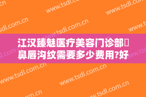 江汉臻魅医疗美容门诊部袪鼻唇沟纹需要多少费用?好不好?