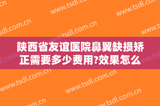 陕西省友谊医院鼻翼缺损矫正需要多少费用?效果怎么样?
