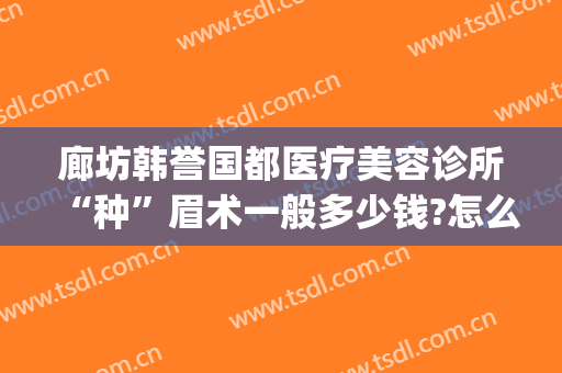 廊坊韩誉国都医疗美容诊所“种”眉术一般多少钱?怎么样?(excel输入前面字母即可显示之前输入过的信息)