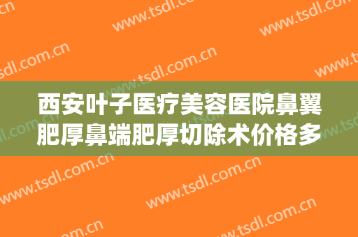 西安叶子医疗美容医院鼻翼肥厚鼻端肥厚切除术价格多少钱?靠谱吗?(鼻翼肥大做手术多少钱)