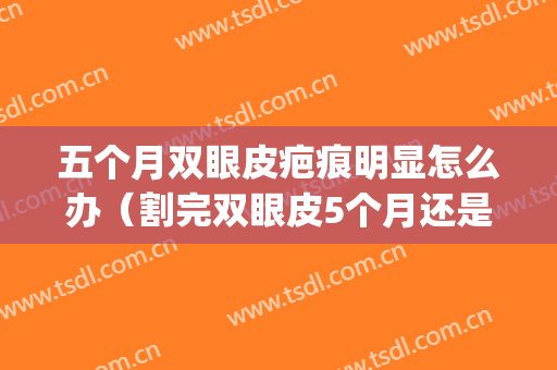 五个月双眼皮疤痕明显怎么办（割完双眼皮5个月还是有疤痕）(开眼角5个月了疤痕还是很明显)