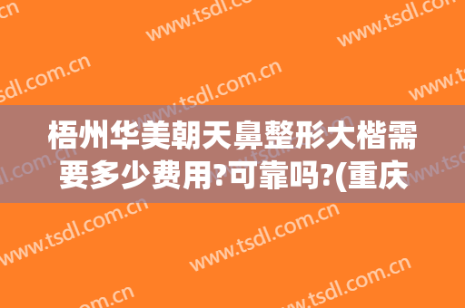 梧州华美朝天鼻整形大楷需要多少费用?可靠吗?(重庆鼻整形需要多少钱)