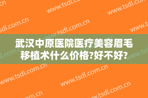 武汉中原医院医疗美容眉毛移植术什么价格?好不好?