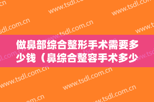 做鼻部综合整形手术需要多少钱（鼻综合整容手术多少钱）(鼻综合整形一般多少钱)
