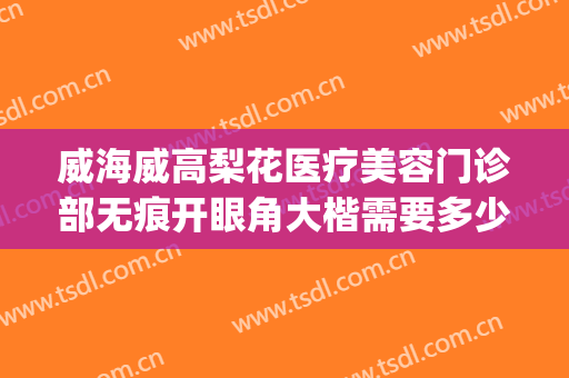 威海威高梨花医疗美容门诊部无痕开眼角大楷需要多少费用?贵不贵?(威海梨花整形怎么样)