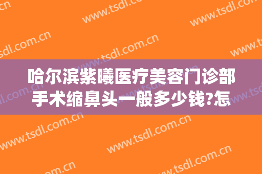 哈尔滨紫曦医疗美容门诊部手术缩鼻头一般多少钱?怎么样?(哈尔滨紫曦整形医院)