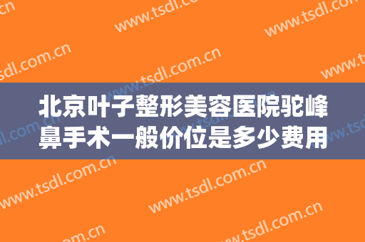 北京叶子整形美容医院驼峰鼻手术一般价位是多少费用?好不好?(整形一个驼峰鼻大概要多少钱)