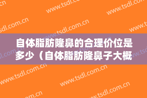 自体脂肪隆鼻的合理价位是多少（自体脂肪隆鼻子大概多少费用）(自体脂肪填充隆鼻多少钱)