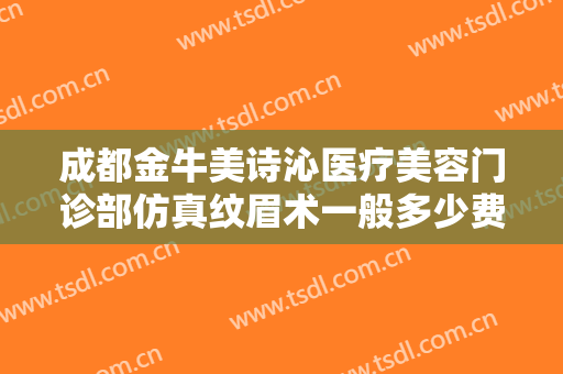 成都金牛美诗沁医疗美容门诊部仿真纹眉术一般多少费用?好不好?
